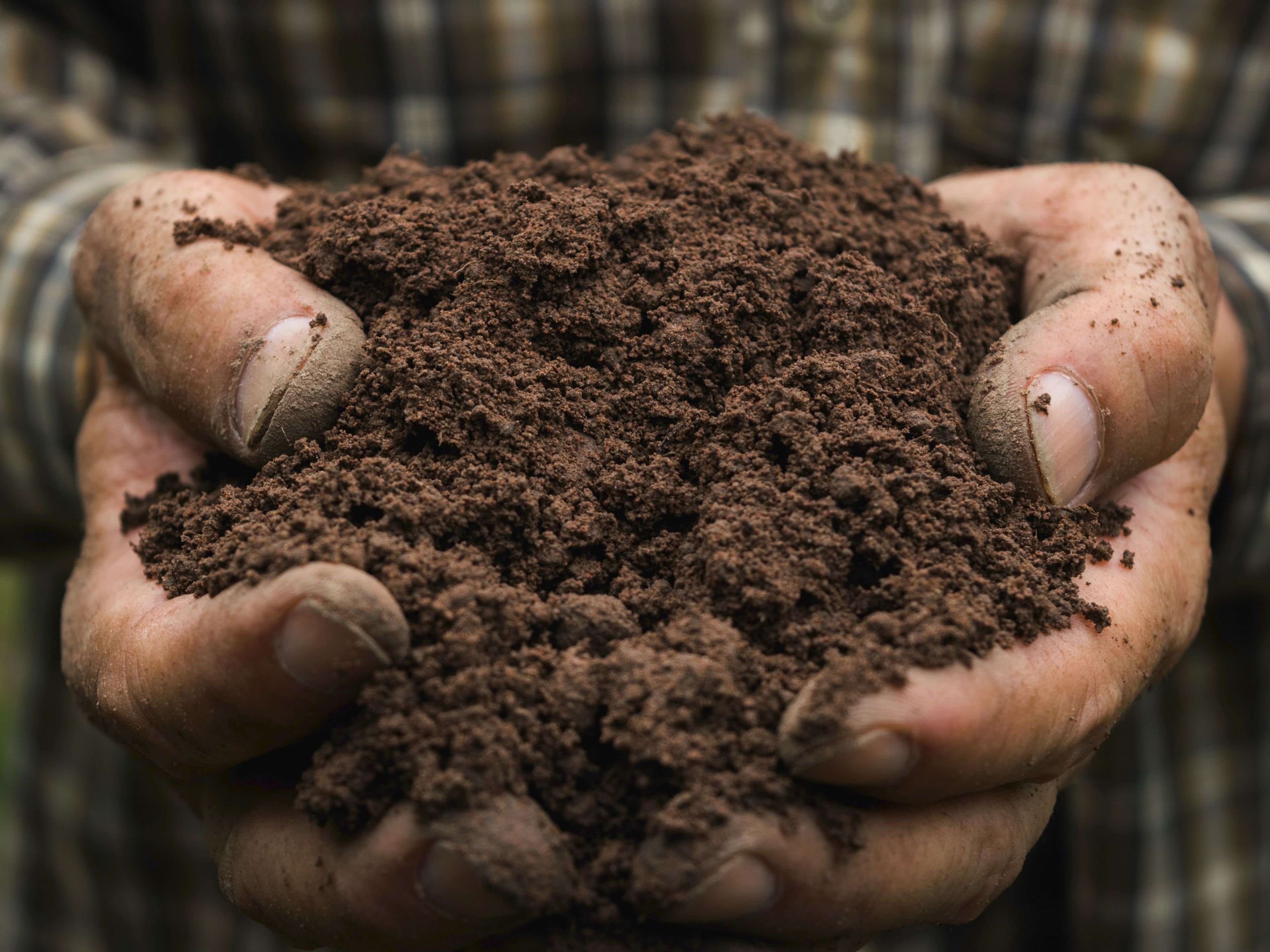 A close-up of two hands holding a mound of dark, rich soil. The hands are rough and dirt-covered, suggesting gardening or farming. A plaid shirt is partially visible in the background.