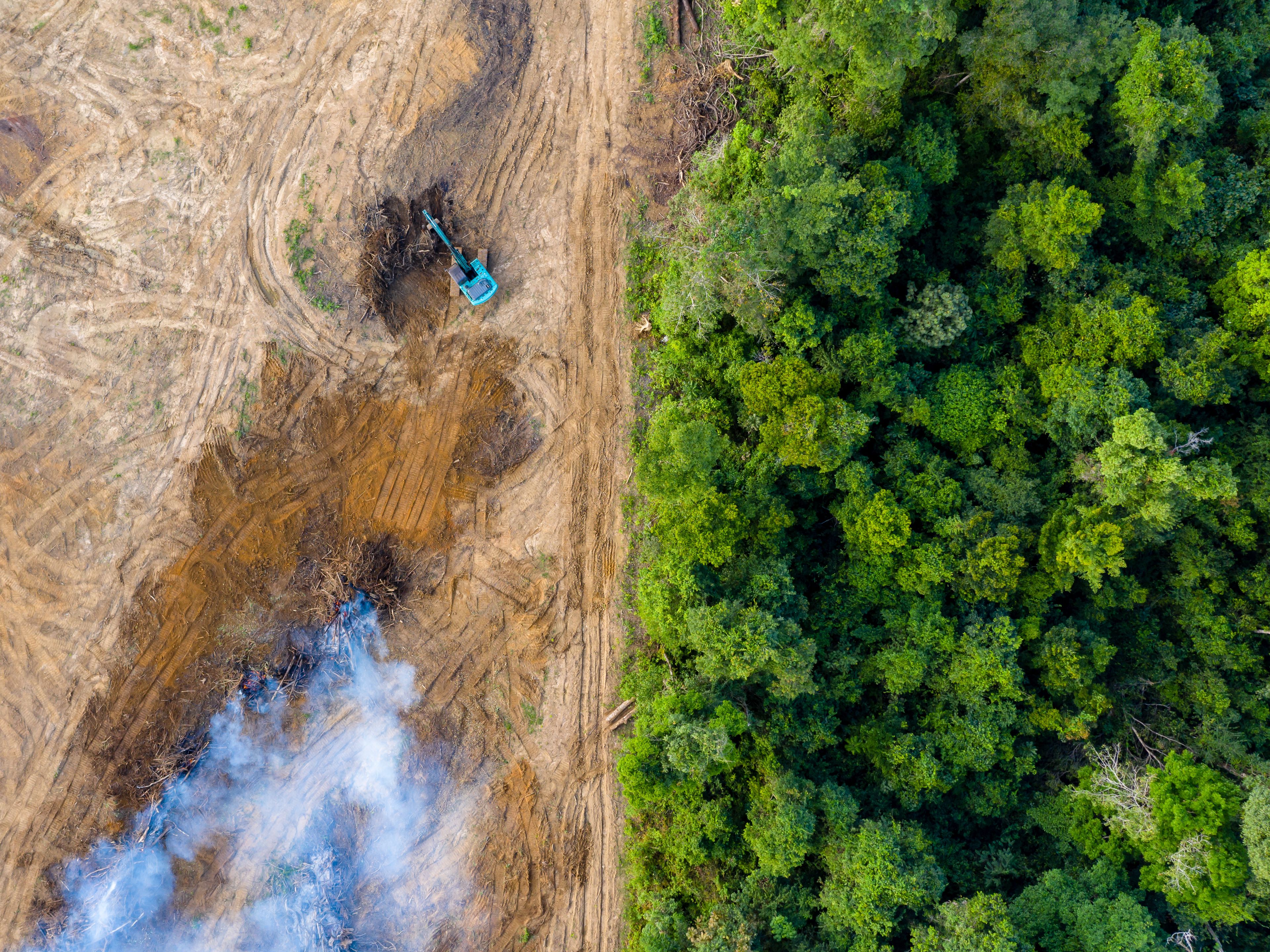 An aerial view showing deforestation, with a stark contrast between a cleared, barren area and dense green forest. Smoke rises from burned vegetation, and a blue excavator is visible working in the cleared section.
